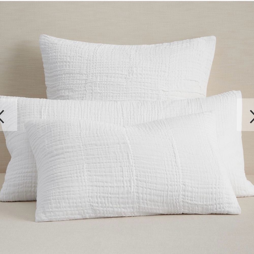 Pottery Barn Cloud Sham- Standard